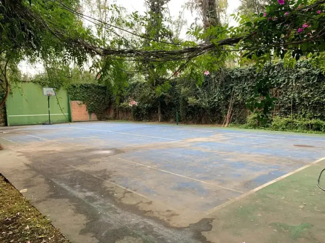 place photo 28