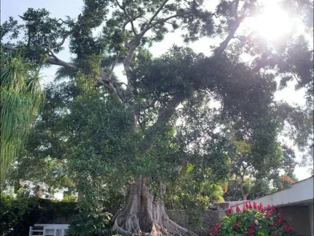 place photo 19