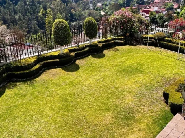 place photo 23