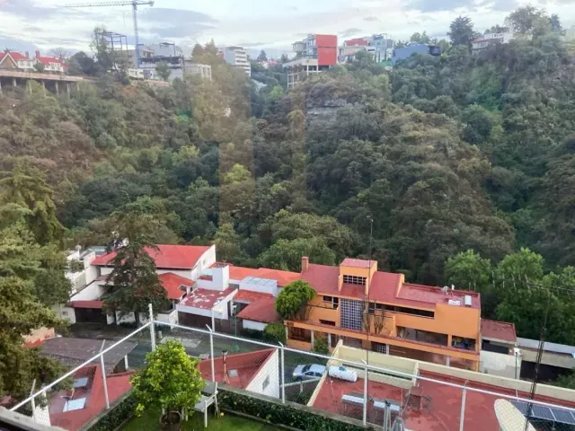 place photo 41
