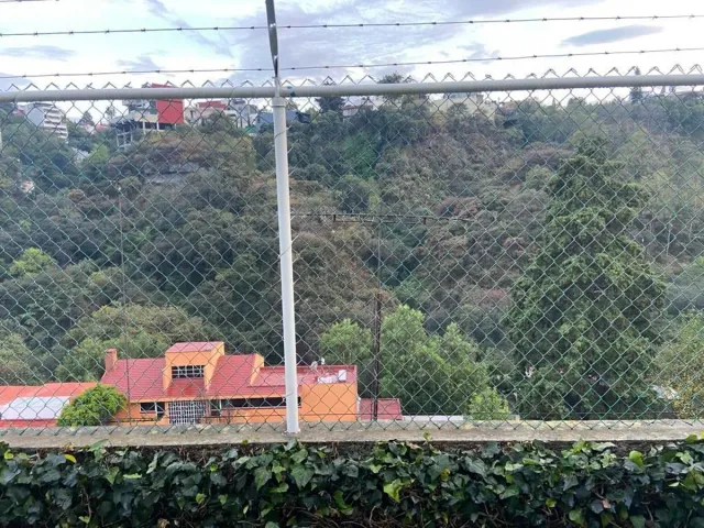 place photo 37