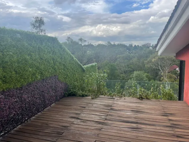 place photo 31