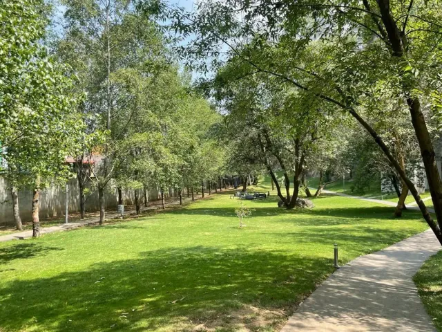 place photo 18