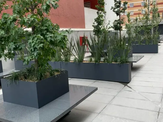 place photo 14