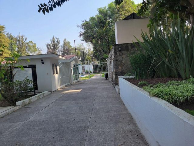 place photo 41