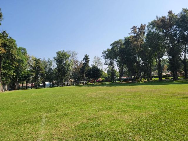 place photo 43