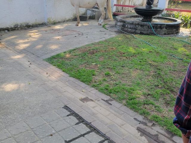 place photo 44