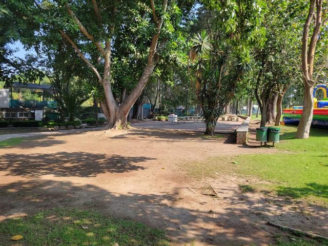 place photo 42