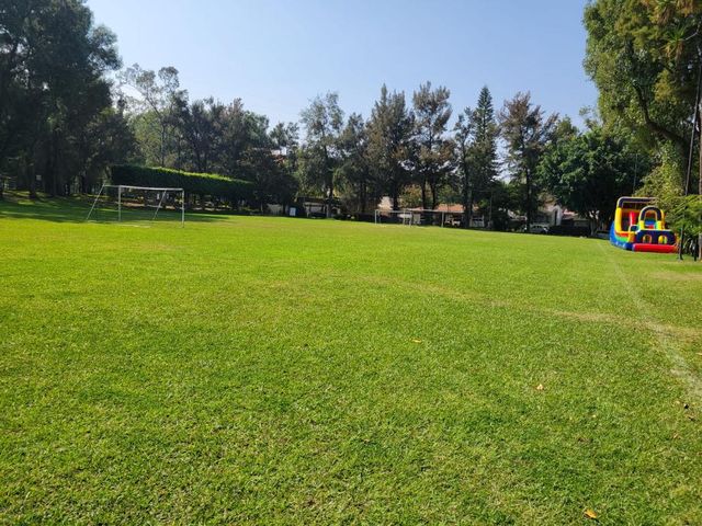 place photo 37