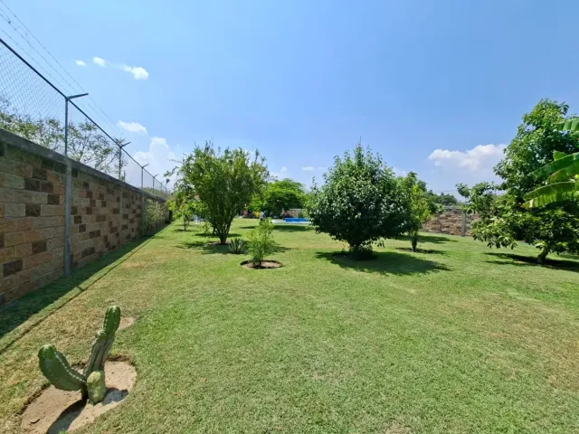 place photo 38
