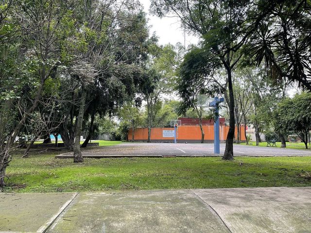 place photo 43