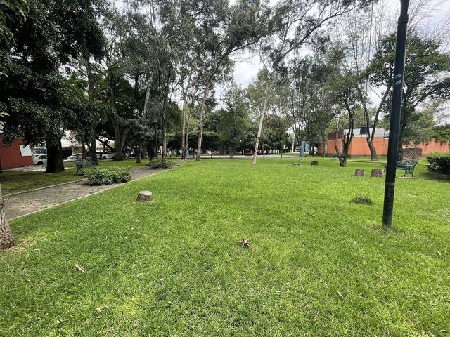place photo 46
