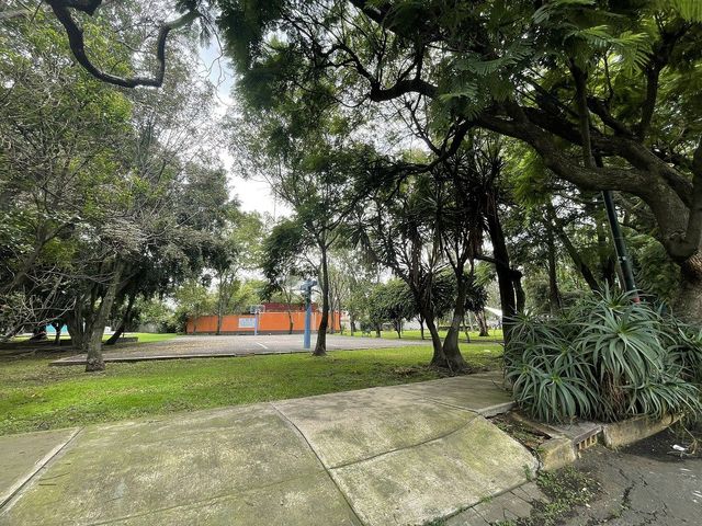 place photo 42
