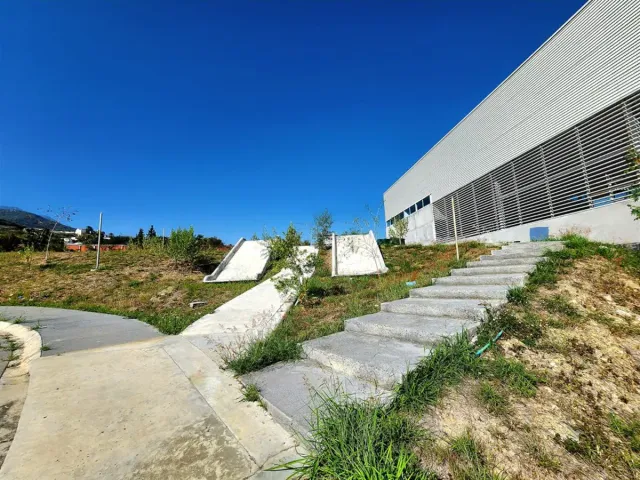 place photo 7