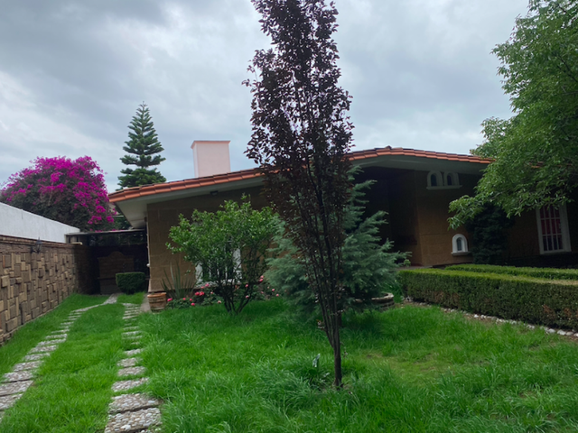 place photo 45