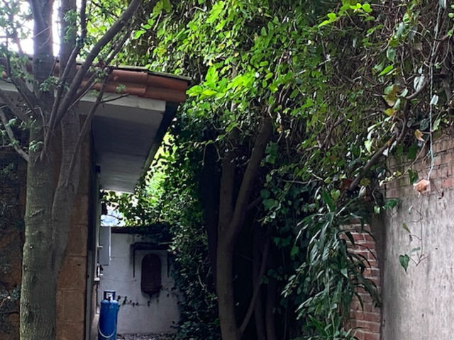 place photo 36