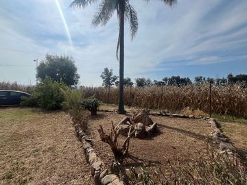 place photo 27