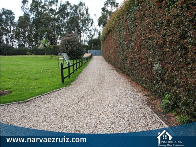 place photo 47