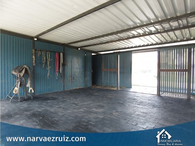 place photo 40