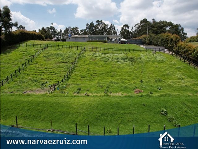 place photo 49