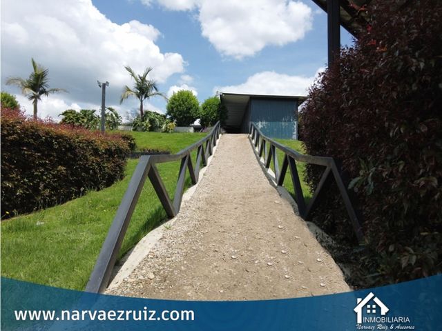 place photo 37