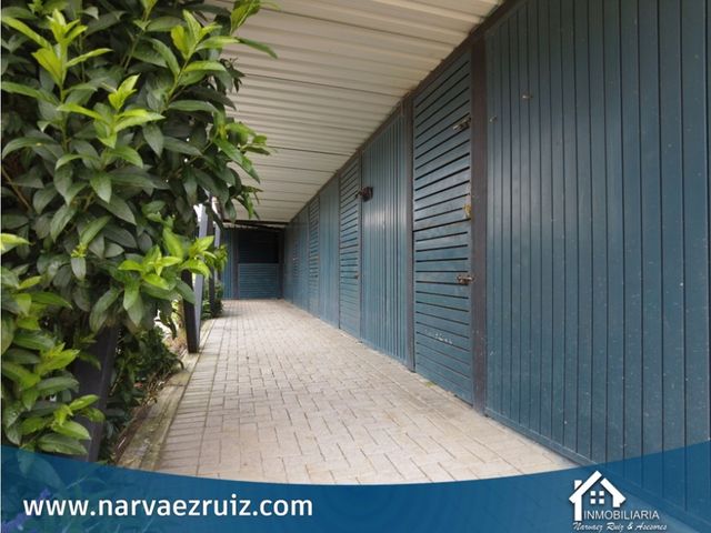 place photo 38