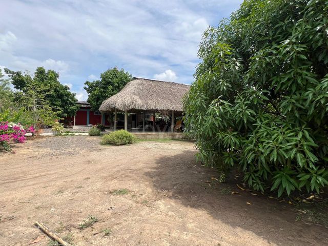place photo 31