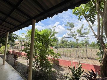 place photo 35