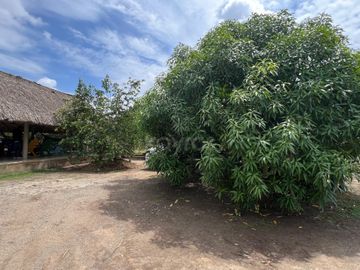 place photo 30