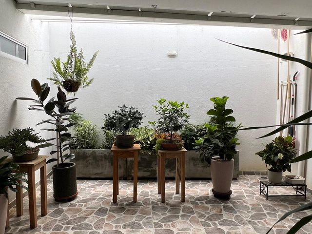 place photo 29