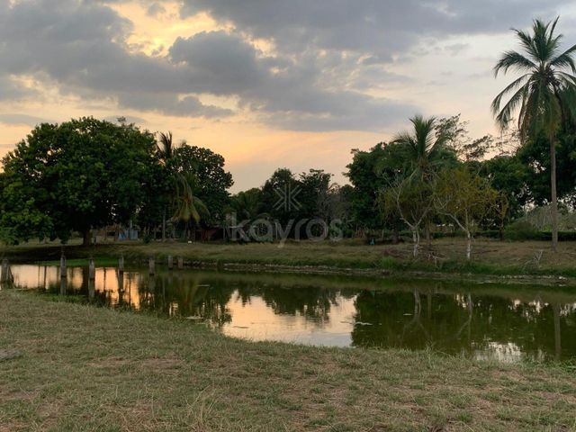 place photo 22