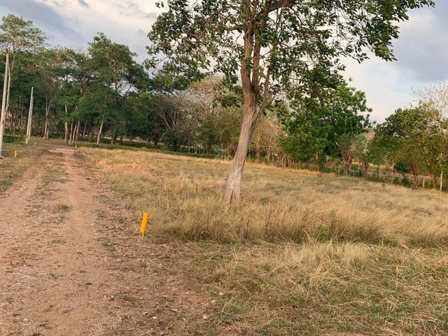 place photo 17