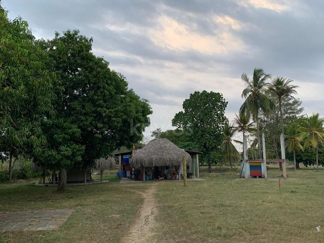 place photo 23