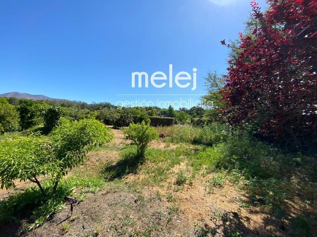 place photo 45