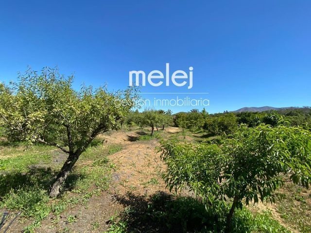 place photo 43