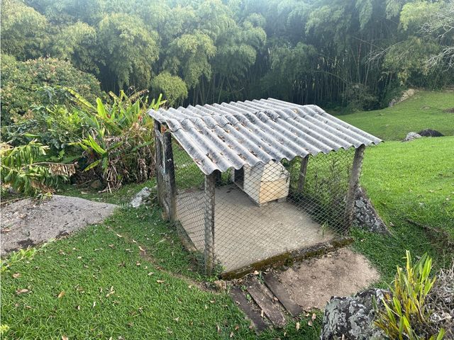 place photo 46