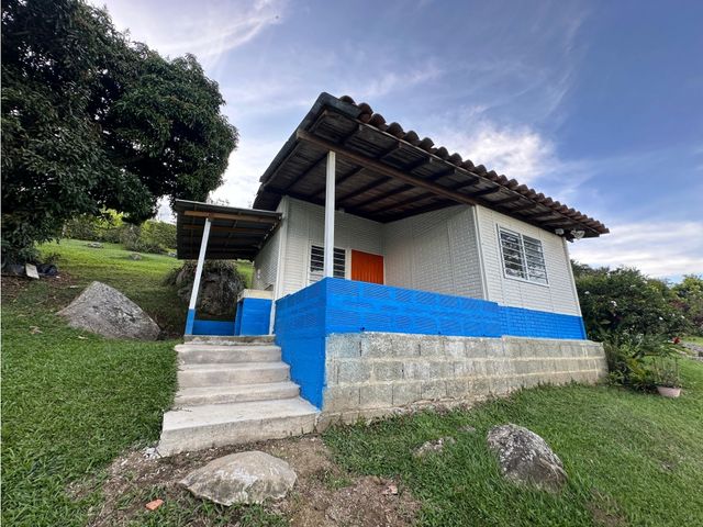 place photo 40