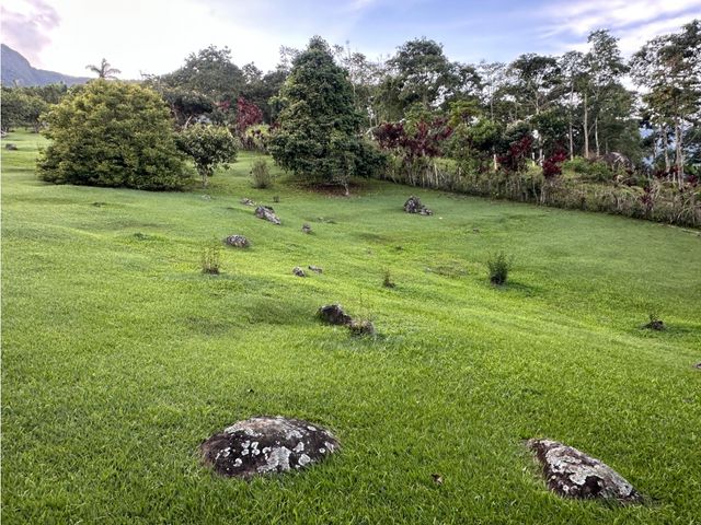 place photo 43