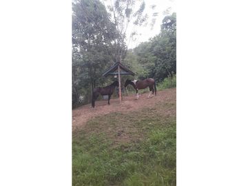 place photo 49