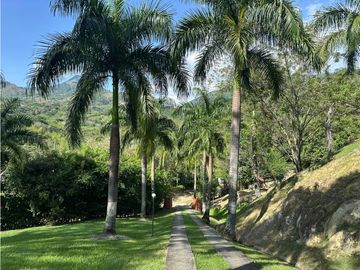 place photo 47