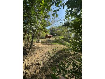 place photo 41