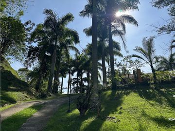 place photo 57