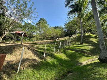 place photo 48