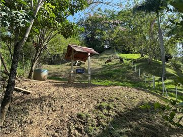 place photo 55