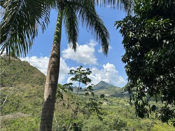 place photo 46