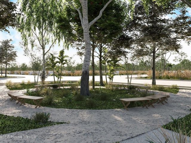place photo 17