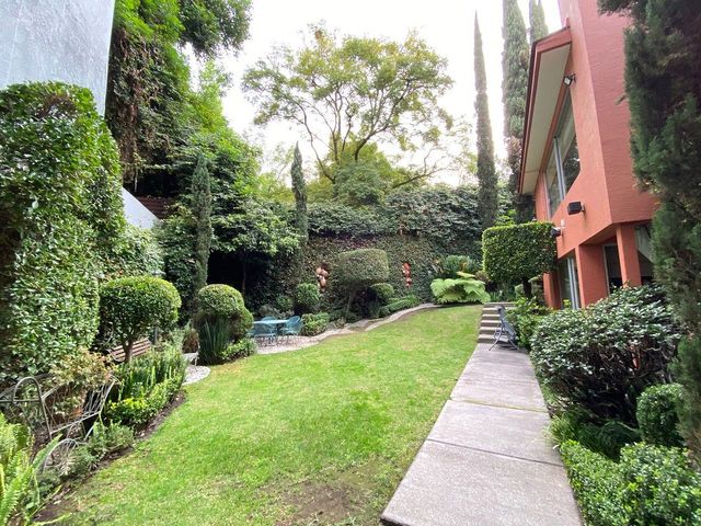 place photo 36