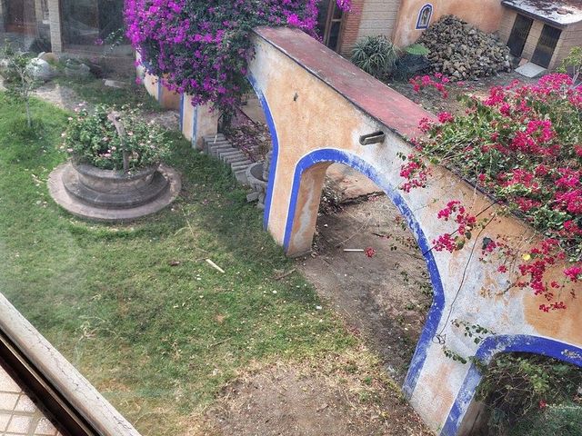 place photo 38