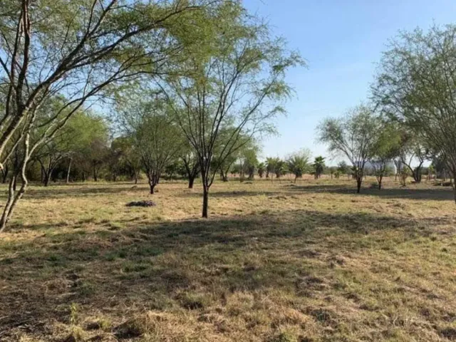 Terreno en venta en Ciudad de Allende Centro, Allende, Nuevo León