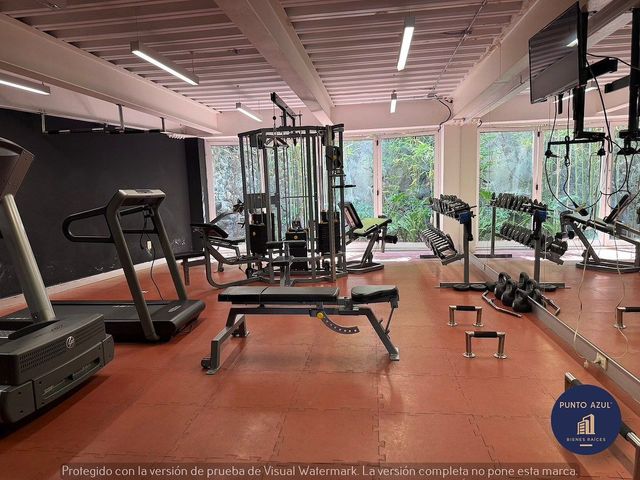place photo 43